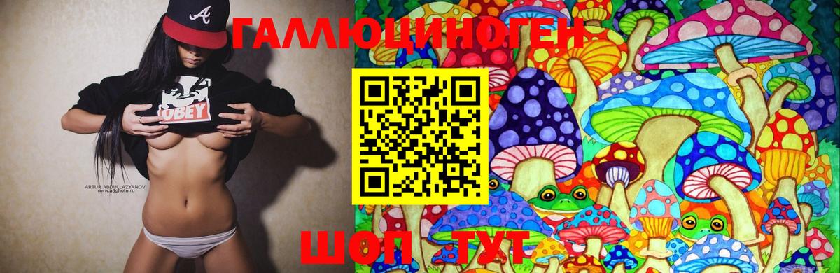 Галлюциногенные грибы мухоморы Котлас